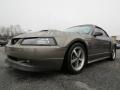 Mineral Grey Metallic 2001 Ford Mustang GT Convertible Exterior
