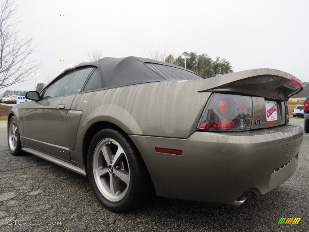 2001 Mustang GT Convertible - Mineral Grey Metallic / Medium Parchment photo #5