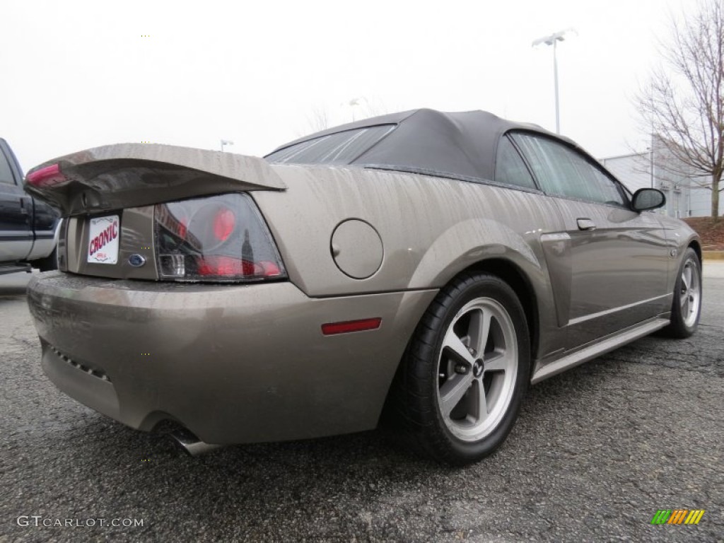 2001 Mustang GT Convertible - Mineral Grey Metallic / Medium Parchment photo #7