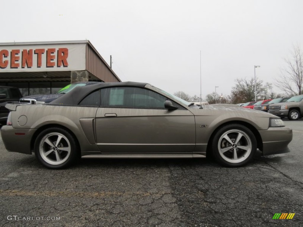 2001 Mustang GT Convertible - Mineral Grey Metallic / Medium Parchment photo #8