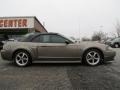 2001 Mineral Grey Metallic Ford Mustang GT Convertible  photo #8