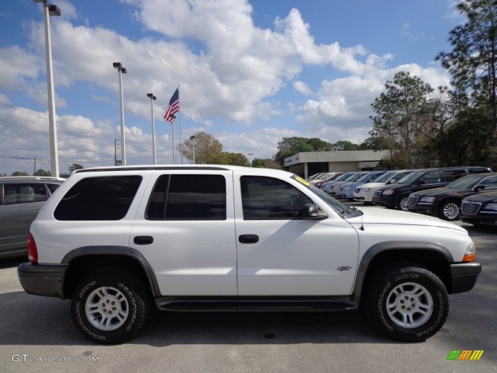 2002 Durango SXT 4x4 - Bright White / Dark Slate Gray photo #10