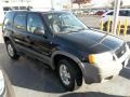 Black Clearcoat - Escape XLT V6 Photo No. 2