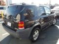 Black Clearcoat - Escape XLT V6 Photo No. 3