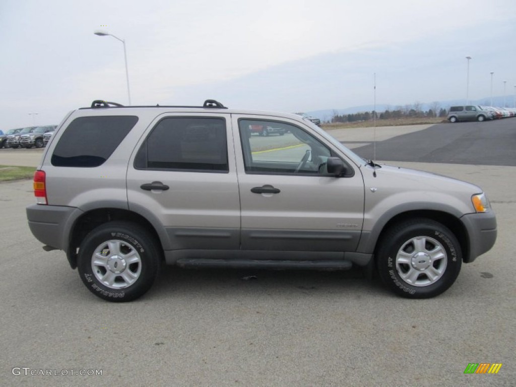 2001 Escape XLT V6 4WD - Light Parchment Gold Metallic / Medium Parchment Beige photo #4