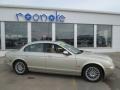 2006 Winter Gold Metallic Jaguar S-Type 3.0  photo #1