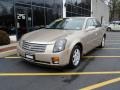 Sand Storm - CTS Sedan Photo No. 2