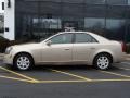 Sand Storm - CTS Sedan Photo No. 3