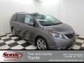 Predawn Gray Mica - Sienna SE Photo No. 1