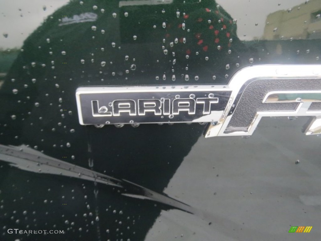 2013 F150 Lariat SuperCrew - Green Gem Metallic / Adobe photo #12