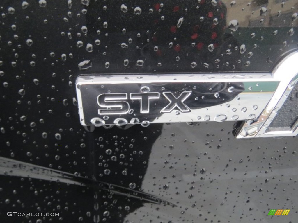 2013 F150 STX Regular Cab - Tuxedo Black Metallic / Steel Gray photo #12