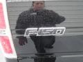 2013 Tuxedo Black Metallic Ford F150 STX Regular Cab  photo #16