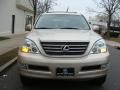 Savannah Beige Metallic - GX 470 Photo No. 2