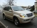 Savannah Beige Metallic - GX 470 Photo No. 3