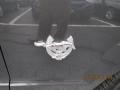 Alloy Metallic - Mustang GT Premium Convertible Photo No. 9