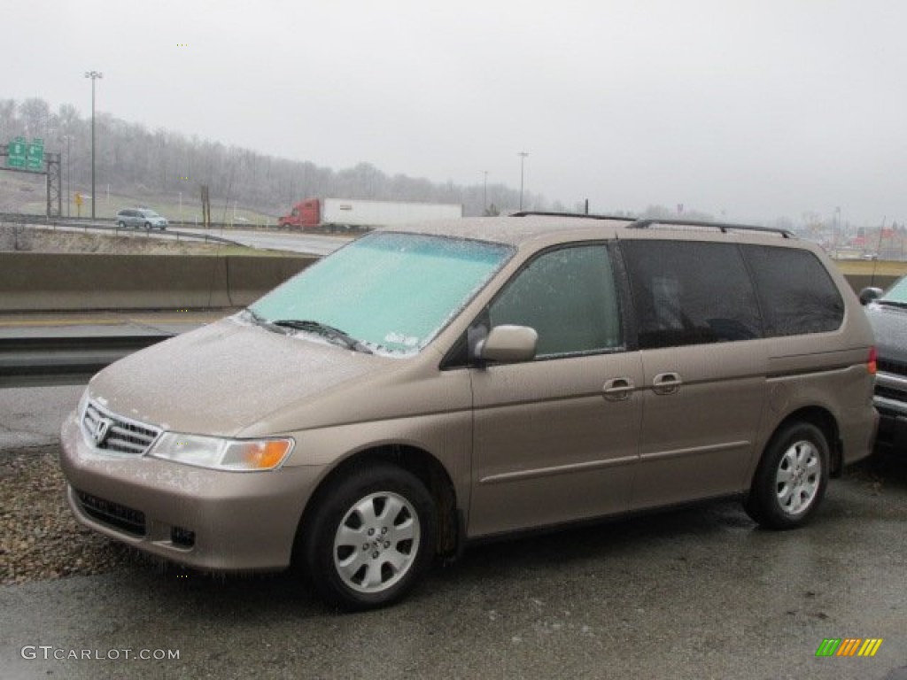 Sandstone Metallic 2003 Honda Odyssey EX-L Exterior Photo #75978172