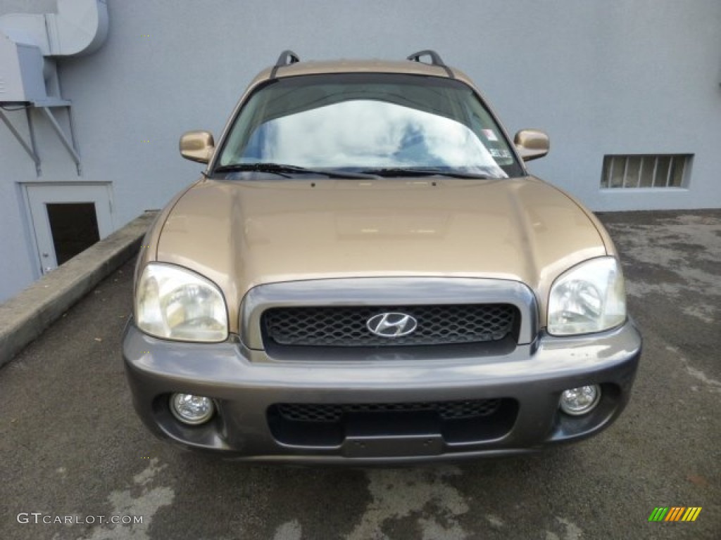 2002 Santa Fe GLS AWD - Sandstone / Beige photo #2