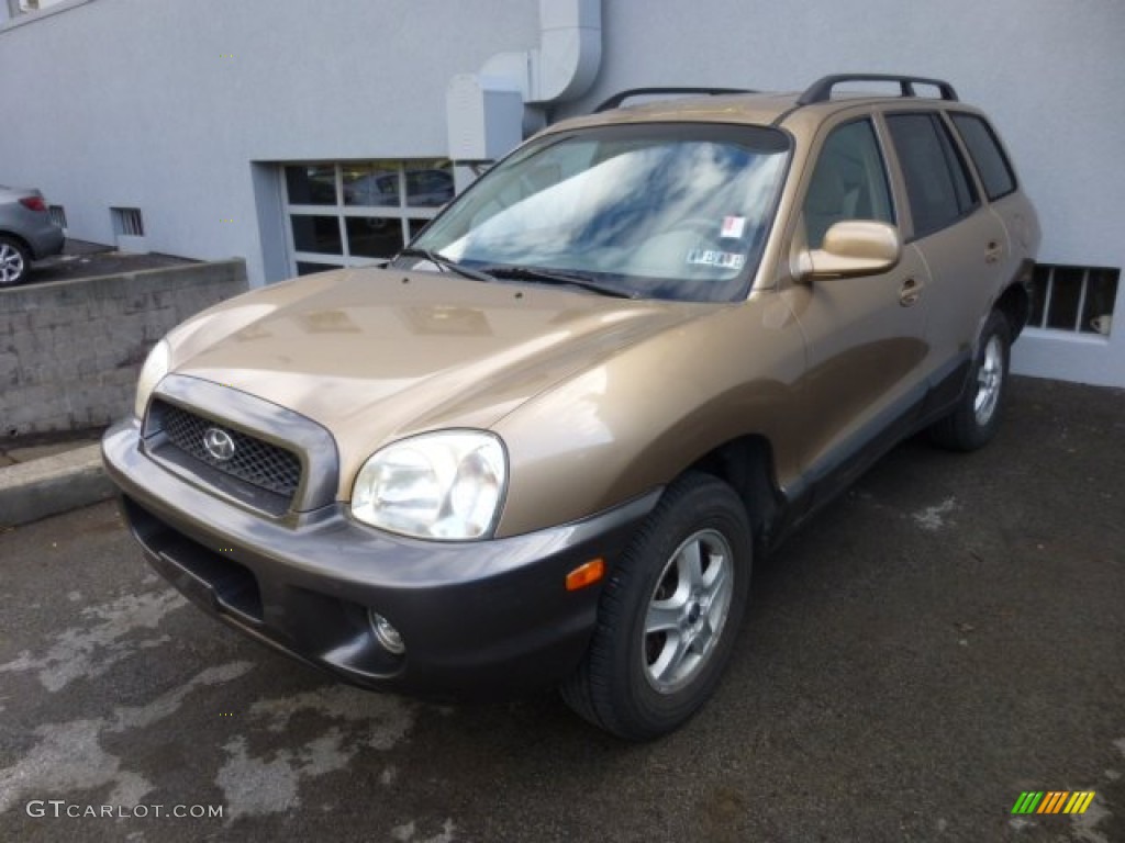 2002 Santa Fe GLS AWD - Sandstone / Beige photo #3