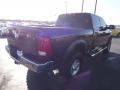 Brilliant Black Crystal Pearl - Ram 2500 HD Power Wagon Crew Cab 4x4 Photo No. 5