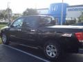 Galaxy Black - Titan LE Crew Cab Photo No. 3