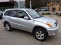 Titanium Metallic - RAV4 4WD Photo No. 3