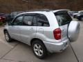 Titanium Metallic - RAV4 4WD Photo No. 10