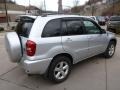 Titanium Metallic - RAV4 4WD Photo No. 12