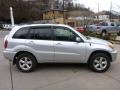 Titanium Metallic - RAV4 4WD Photo No. 13
