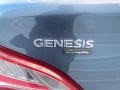 Parabolica Blue - Genesis Coupe 3.8 Grand Touring Photo No. 14