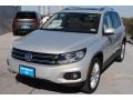 White Gold Metallic - Tiguan SE Photo No. 3