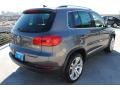 Pepper Gray Metallic - Tiguan SEL Photo No. 7