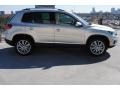 White Gold Metallic - Tiguan SE Photo No. 9