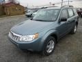 Sage Green Metallic 2013 Subaru Forester 2.5 X Exterior