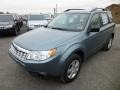 Sage Green Metallic 2013 Subaru Forester 2.5 X Exterior