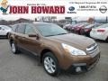 2013 Caramel Bronze Pearl Subaru Outback 2.5i Premium  photo #1