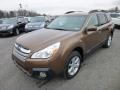 Caramel Bronze Pearl 2013 Subaru Outback 2.5i Premium Exterior