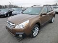 2013 Caramel Bronze Pearl Subaru Outback 2.5i Premium  photo #3