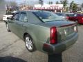 Silver Green 2005 Cadillac STS V6 Exterior