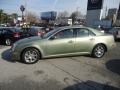 2005 Silver Green Cadillac STS V6  photo #9