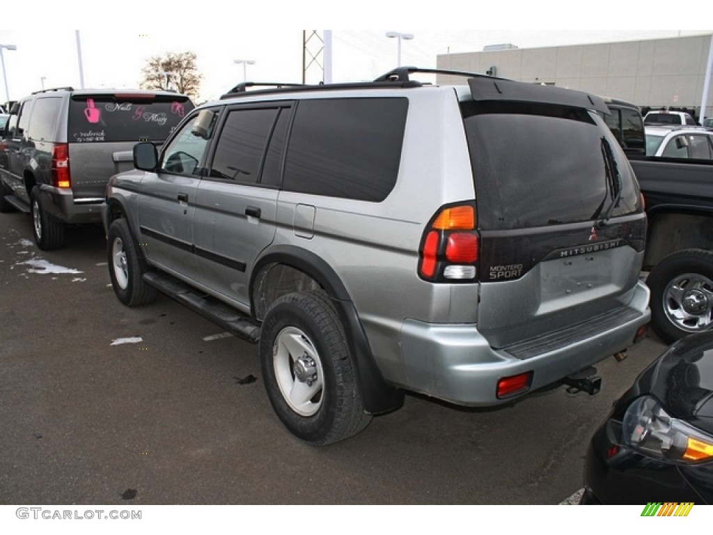 2000 Montero Sport LS 4x4 - Seattle Silver Metallic / Gray photo #3