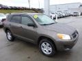 Pyrite Metallic - RAV4 I4 4WD Photo No. 9