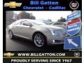 Silver Coast Metallic 2013 Cadillac XTS Platinum FWD