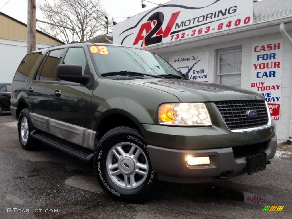 2003 Expedition XLT 4x4 - Estate Green Metallic / Medium Parchment photo #1