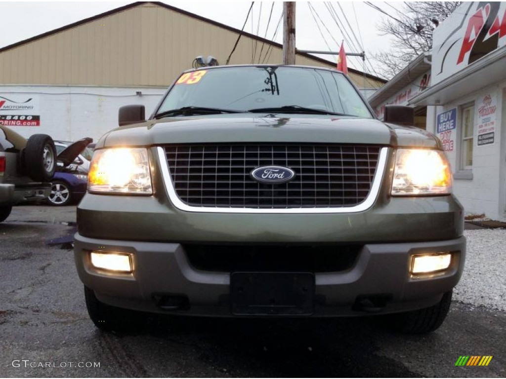 2003 Expedition XLT 4x4 - Estate Green Metallic / Medium Parchment photo #2
