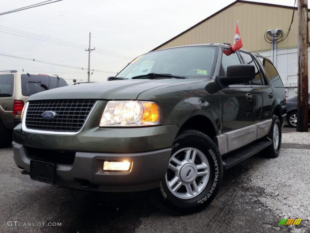 2003 Expedition XLT 4x4 - Estate Green Metallic / Medium Parchment photo #3