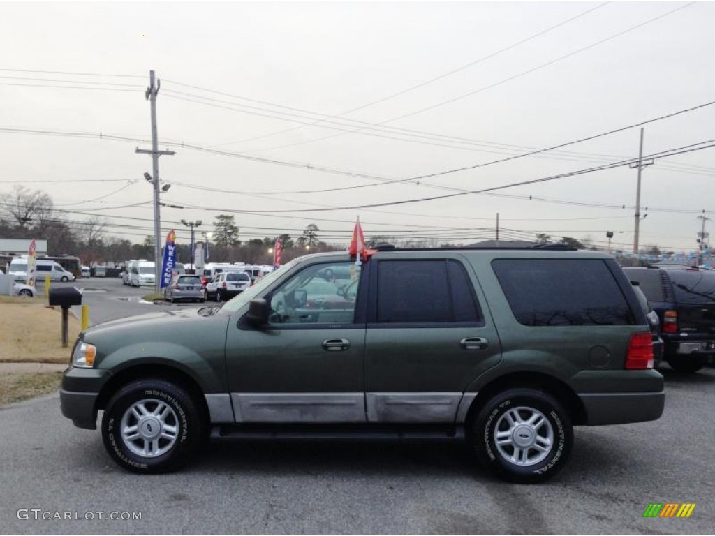 2003 Expedition XLT 4x4 - Estate Green Metallic / Medium Parchment photo #4