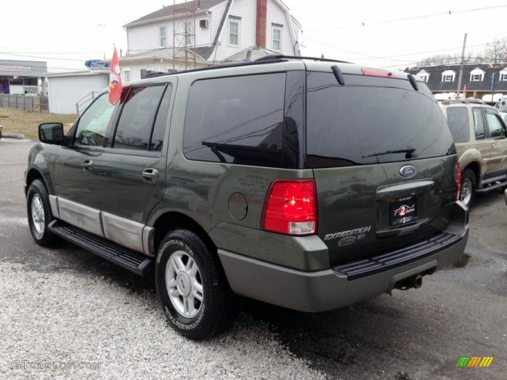 2003 Expedition XLT 4x4 - Estate Green Metallic / Medium Parchment photo #5