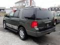 2003 Estate Green Metallic Ford Expedition XLT 4x4  photo #5