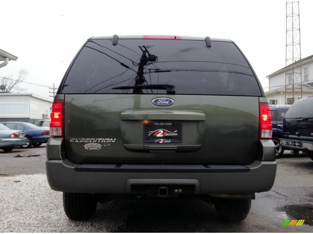 2003 Expedition XLT 4x4 - Estate Green Metallic / Medium Parchment photo #6