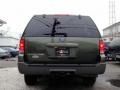 2003 Estate Green Metallic Ford Expedition XLT 4x4  photo #6